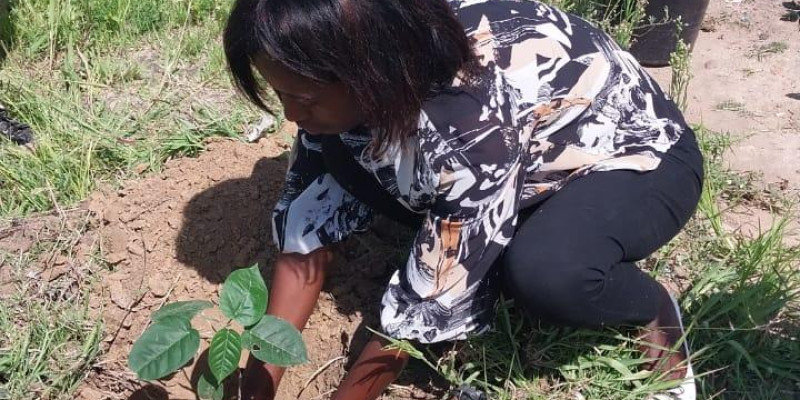 Investigadores do Projecto Cidades Sustentáveis em Angola, realizam diversas actividades em escolas no dia Nacional do Ambiente.